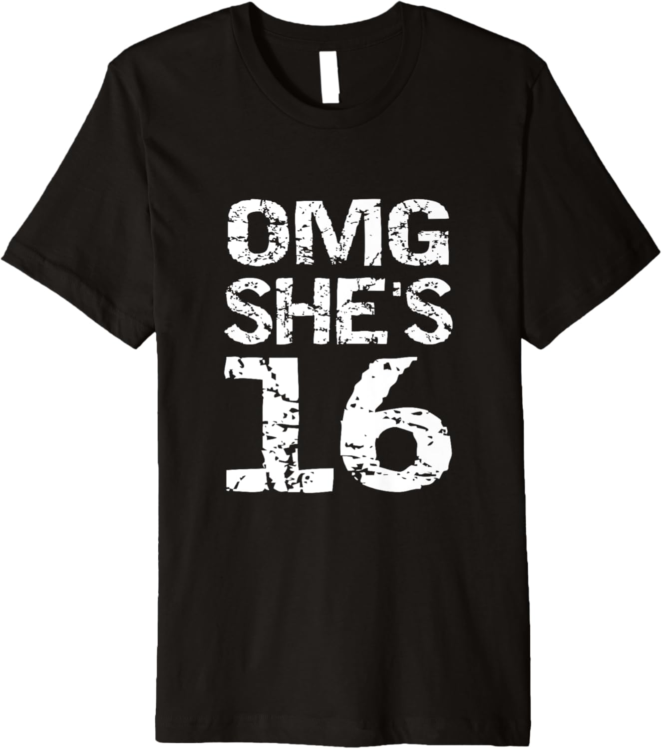 16th Birthday Gift Sweet 16 Group Photo Outfit OMG She's 16 Premium