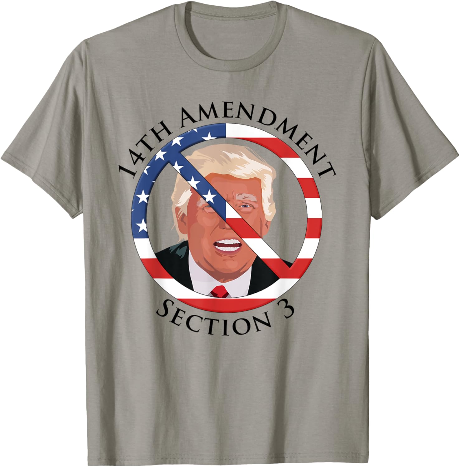 14th Amendment Section 3 Anti Trump