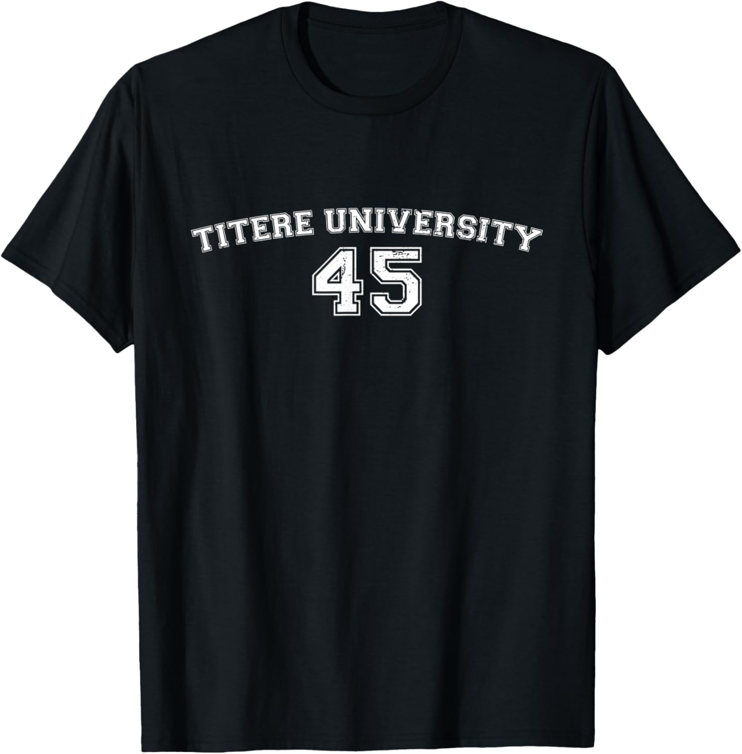 45 Titere University 45 Puppet Anti Trump Protest